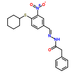 N'-([4-(CYCLOHEXYLSULFANYL)-3-NITROPHENYL]METHYLENE)-2-PHENYLACETOHYDRAZIDE picture