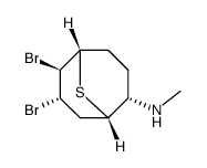 (6,7-dibromo-9-thia-bicyclo[3.3.1]non-2-yl)-methyl-amine结构式