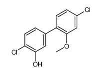 1261972-63-7 structure