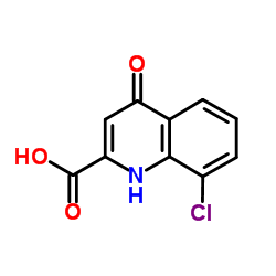 8-chloro-4-oxo-1,4-dihydroquinoline-2-carboxylic acid结构式