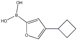 4-(Cyclobutyl)furan-2-boronic acid图片