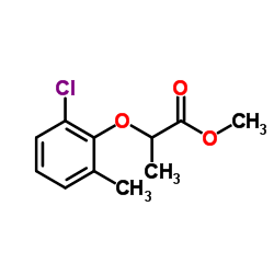 23844-56-6 structure