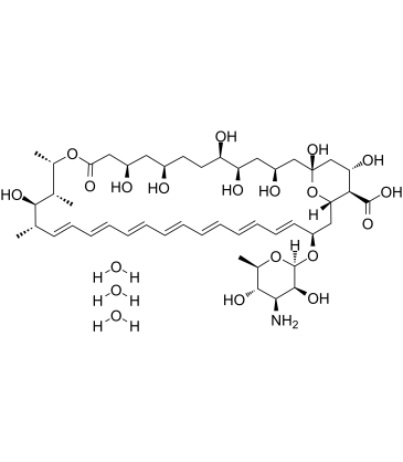 Amphotericin B trihydrate Structure