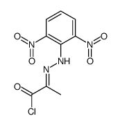 2-[(2,6-dinitrophenyl)hydrazinylidene]propanoyl chloride Structure