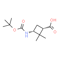 (1S,3R)-3-{[(tert-butoxy)carbonyl]amino}-2,2-dimethylcyclobutane-1-carboxylic acid picture