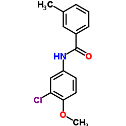 N-(3-Chloro-4-methoxyphenyl)-3-methylbenzamide结构式