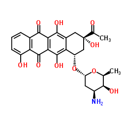 洋红霉素图片