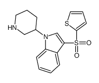 1-piperidin-3-yl-3-thiophen-2-ylsulfonylindole Structure