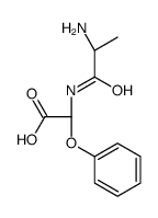 (2R)-2-[[(2S)-2-aminopropanoyl]amino]-2-phenoxyacetic acid Structure