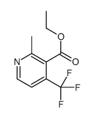 1196153-66-8 structure