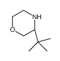 (R)-3-(tert-butyl)morpholine Structure