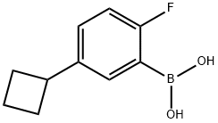 2-Fluoro-5-(cyclobutyl)phenylboronic acid structure