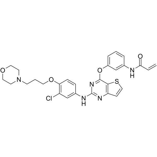 2307699-34-7 structure