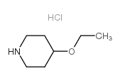 4-Ethoxypiperidine Hydrochloride Structure