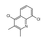 4,8-dichloro-2,3-dimethylquinoline结构式