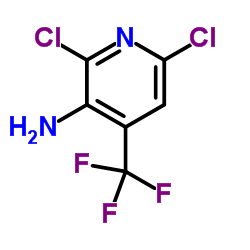 2,6-二氯-4-三氟甲基吡啶-3-胺结构式