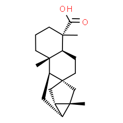 trachyloban-19-oic acid Structure