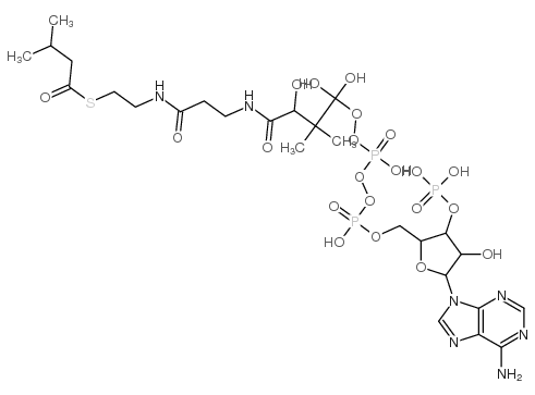 Isovaleryl coenzyme A lithium salt hydrate structure