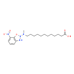 12-(N-METHYL-N-(7-NITROBENZ-2-OXA-1,3-DIAZOL-4-YL) AMINODODECANOIC ACID picture