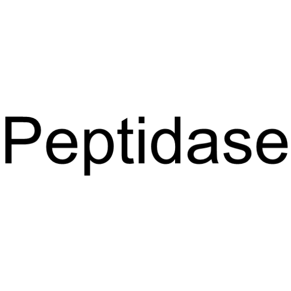 Peptidase structure