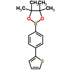 4,4,5,5-Tetramethyl-2-[4-(2-thienyl)phenyl]-1,3,2-dioxaborolane图片