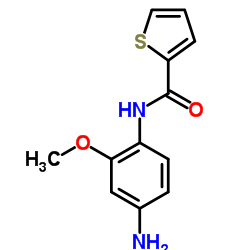 THIOPHENE-2-CARBOXYLIC ACID (4-AMINO-2-METHOXY-PHENYL)-AMIDE结构式