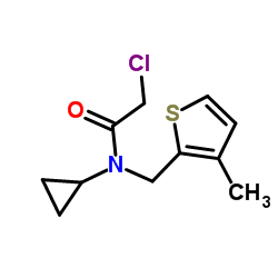 2-Chloro-N-cyclopropyl-N-[(3-methyl-2-thienyl)methyl]acetamide Structure