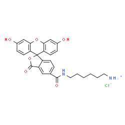 6-isomer FAM amine图片