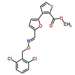 241488-16-4 structure