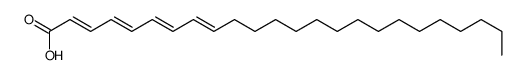 tetracosatetraenoic acid picture