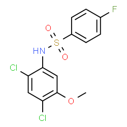 N-(2,4-Dichloro-5-methoxyphenyl)-4-fluorobenzenesulfonamide结构式