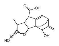 (1S,11S)-1,3,4,5,6,7,9,9aβ-Octahydro-2α,11-dihydroxy-1β-methyl-10-methylene-13-oxo-4aα,1-(epoxymethano)-4bβ,7β-ethano-2H-fluorene-9β-carboxylic acid Structure