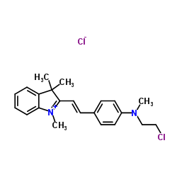 3648-36-0结构式