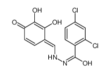 2,4-dichloro-N'-[(E)-(2,3-dihydroxy-4-oxocyclohexa-2,5-dien-1-ylidene)methyl]benzohydrazide Structure