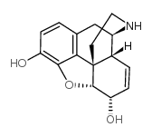normorphine Structure