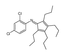 2,4-DICHLORO-N-(2,3,4,5-TETRAPROPYLCYCLOPENTA-2,4-DIENYLIDENE)ANILINE structure