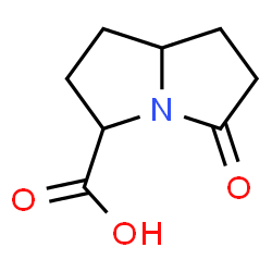 1H-Pyrrolizine-3-carboxylicacid,hexahydro-5-oxo-(9CI) structure