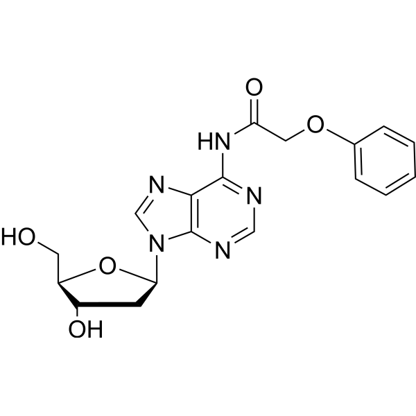 2'-Deoxy-N6-phenoxyacetyladenosine picture