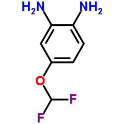 4-(Difluoromethoxy)benzene-1,2-diamine Structure