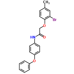 2-(2-Bromo-4-methylphenoxy)-N-(4-phenoxyphenyl)acetamide Structure