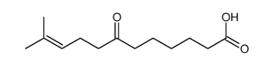 11-methyl-7-oxododec-10-enoic acid Structure