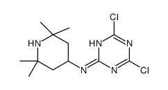 4,6-dichloro-N-(2,2,6,6-tetramethylpiperidin-4-yl)-1,3,5-triazin-2-amine结构式