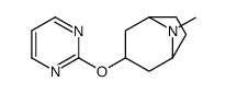 8-Azabicyclo[3.2.1]octane,8-methyl-3-(2-pyrimidinyloxy)-(9CI)结构式