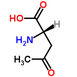 Aminolevulinic Acid Structure