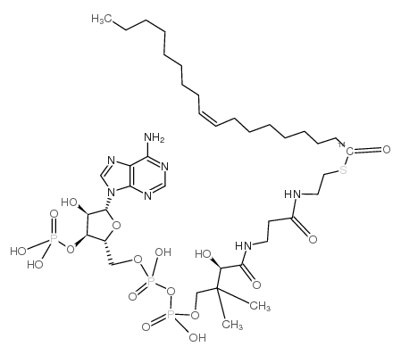 4767-16-2结构式