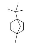 1-tert-butyl-4-iodobicyclo[2.2.1]heptane Structure