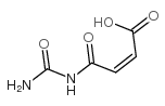 N-氨基甲酰马来酸结构式