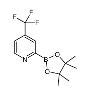 2-(4,4,5,5-tetramethyl-1,3,2-dioxaborolan-2-yl)-4-(trifluoromethyl)pyridine picture