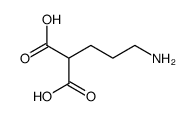 2-(3-aminopropyl)propanedioic acid Structure