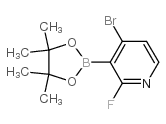 4-Bromo-2-fluoropyridine-3-boronic acid pinacol ester structure